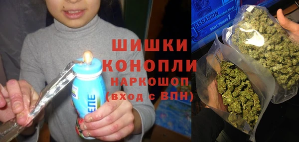 сатива Алексин